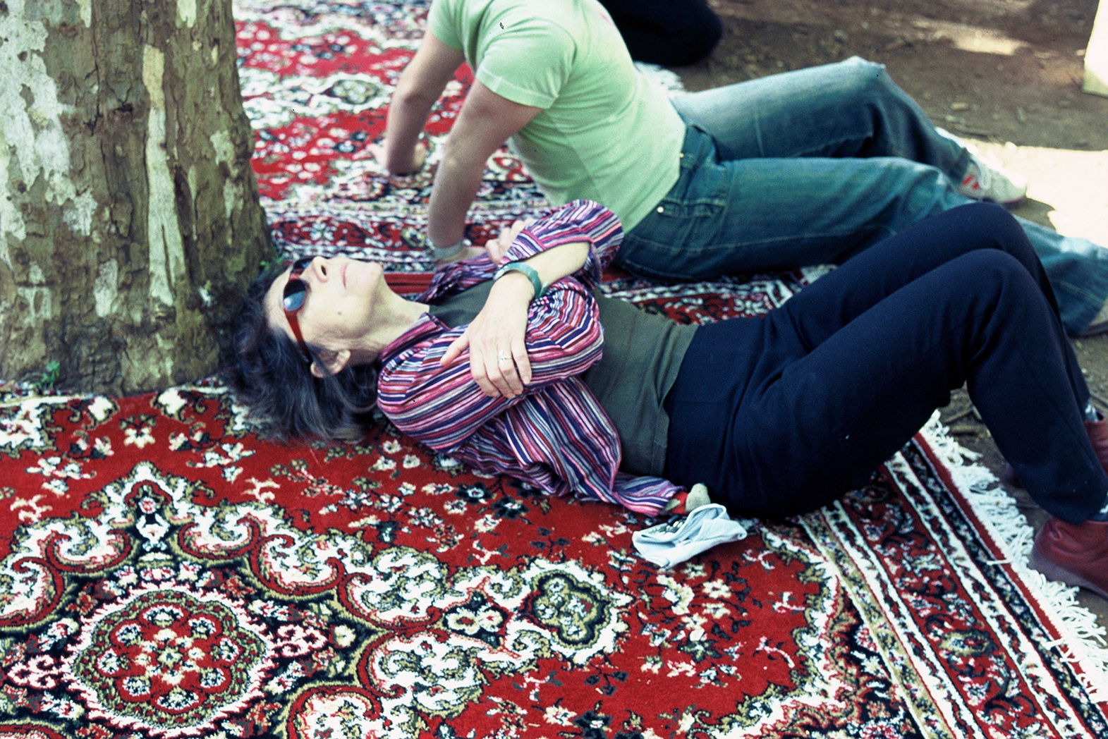 Picnic under embargo