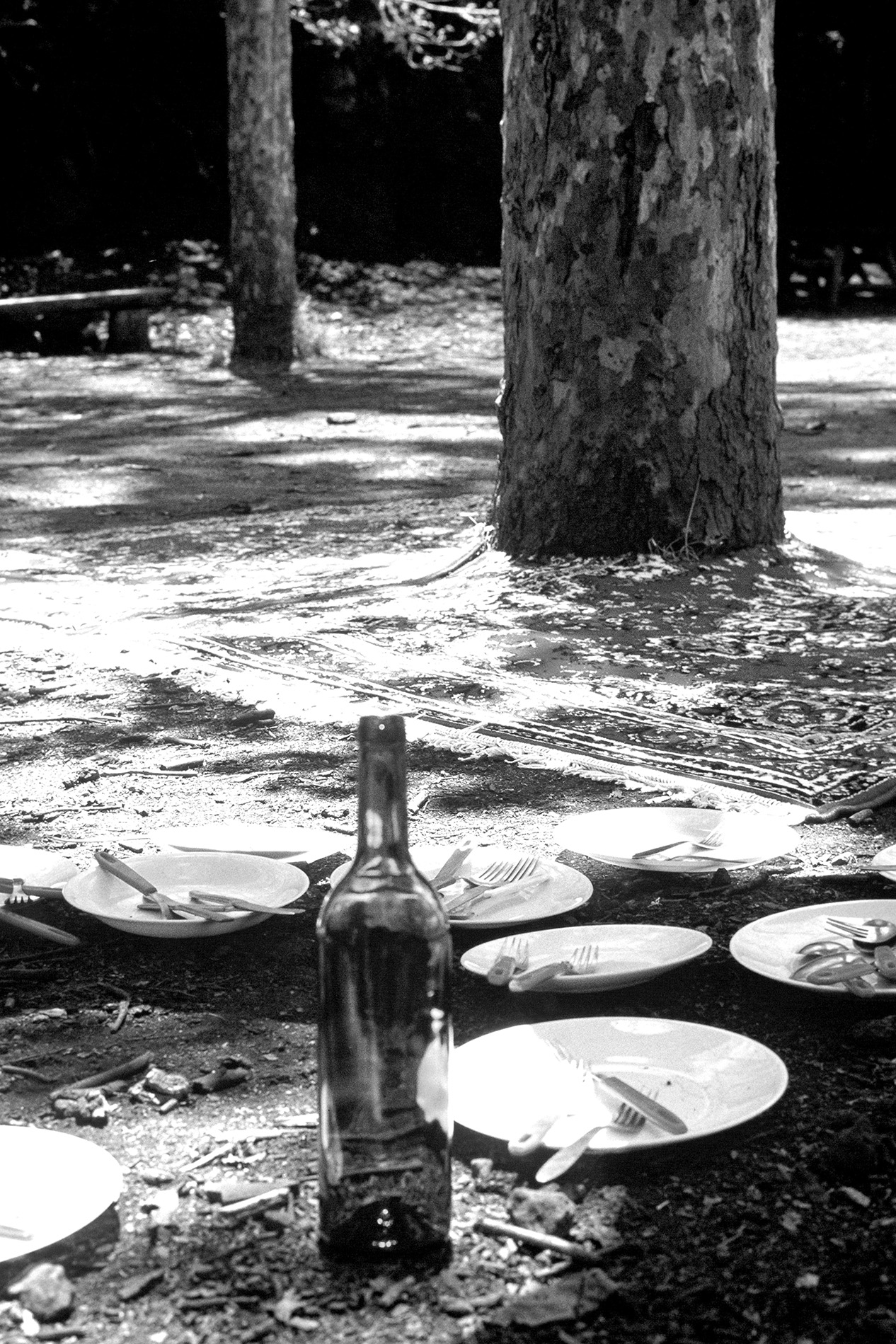 Picnic under embargo