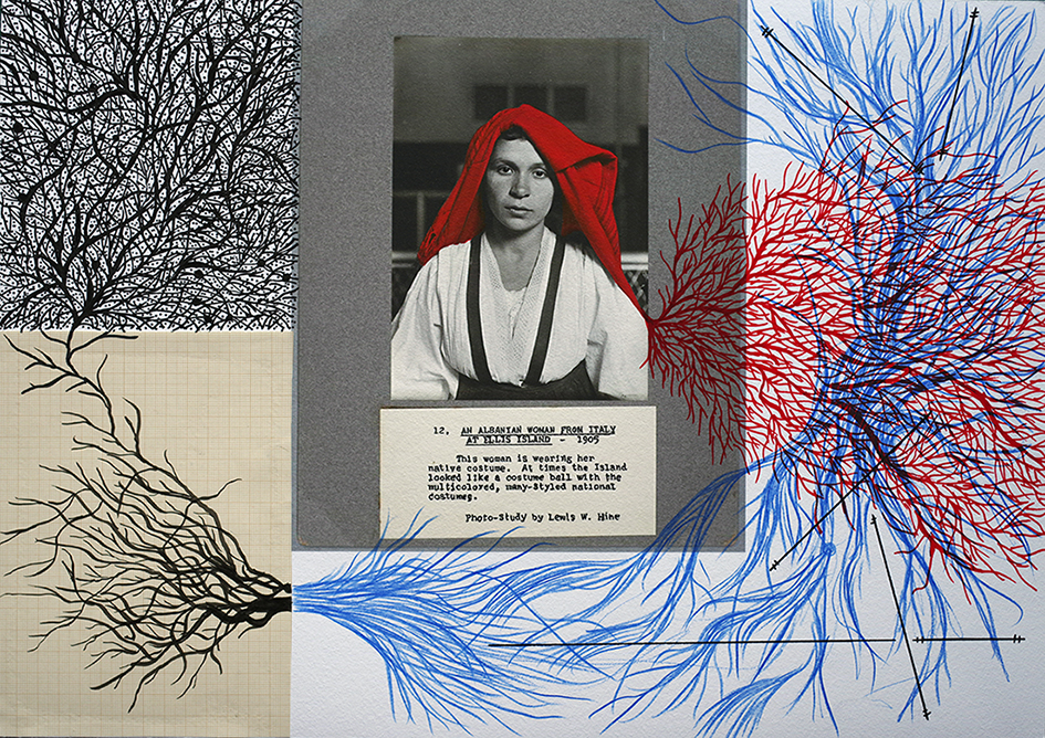 The island of the roots