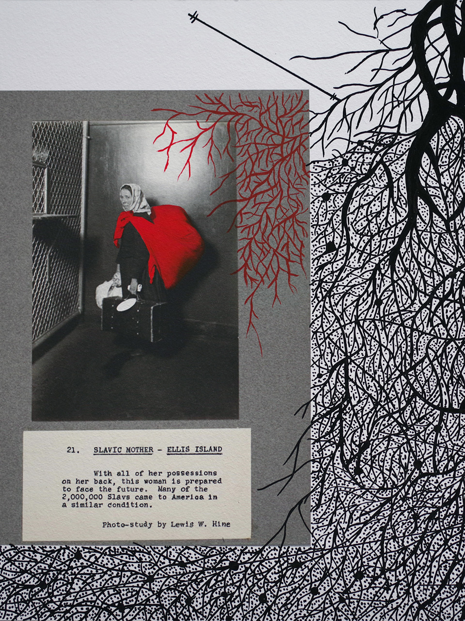 The island of the roots