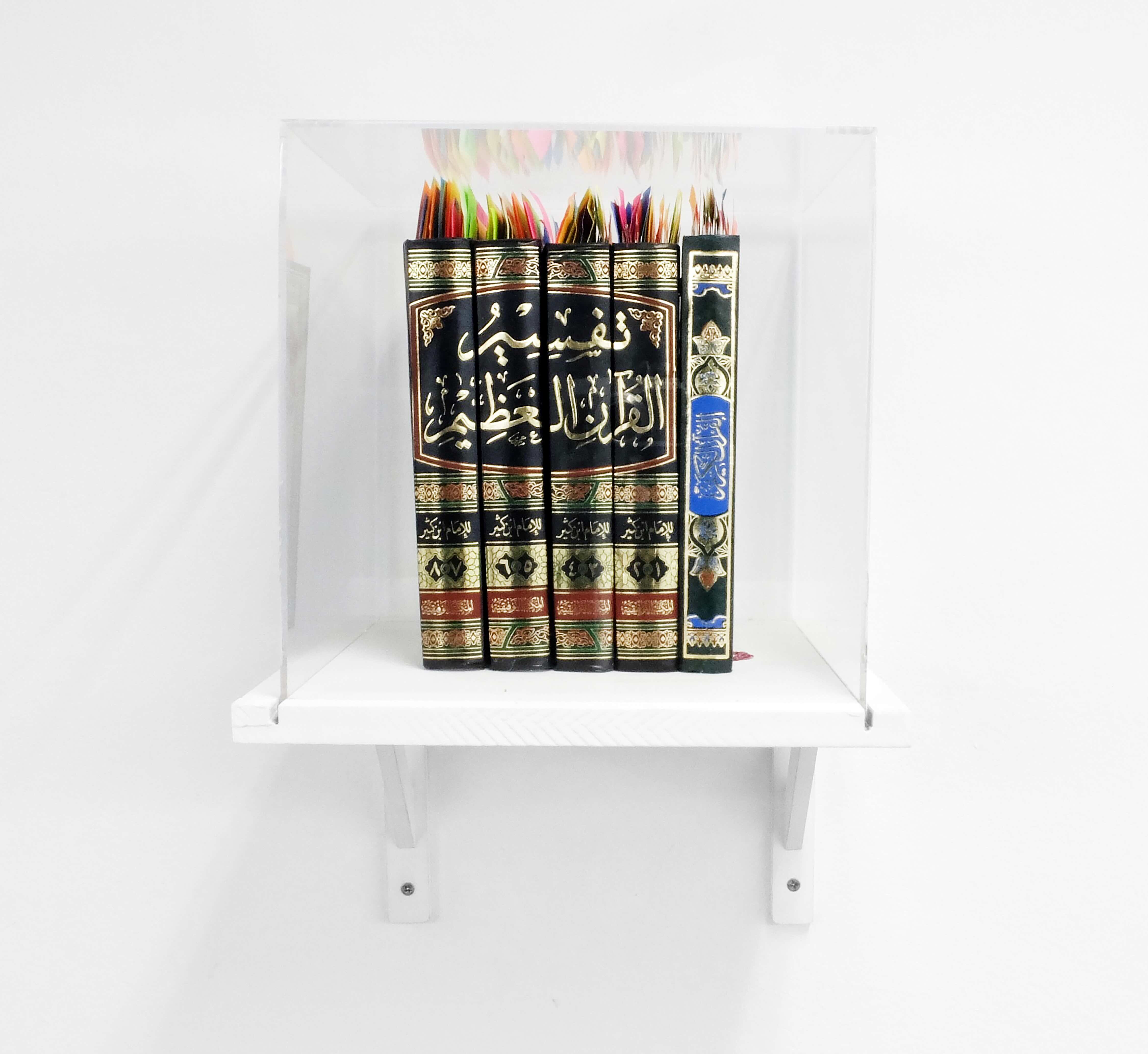 I Want to Understand